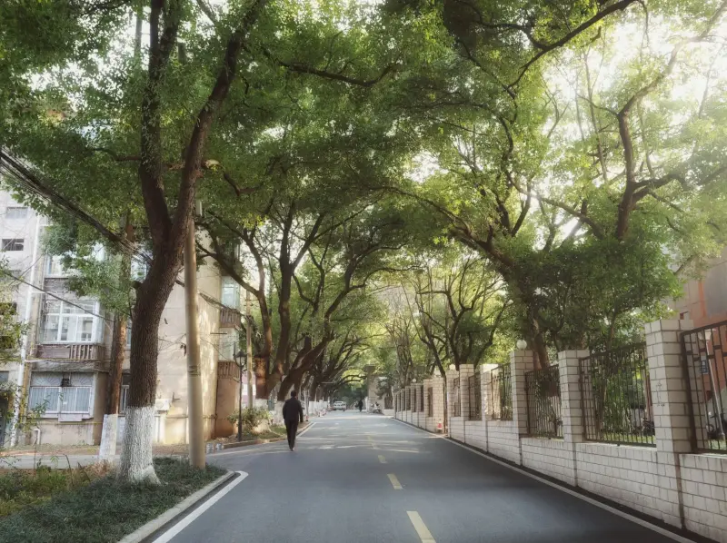 重庆学生文具选购指南:童月依美术耗材与办公用品搭配推荐